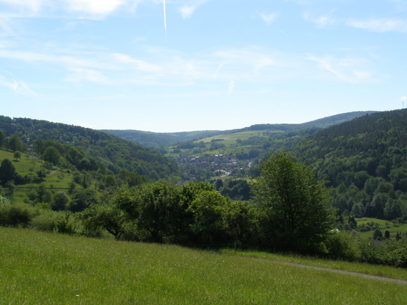 Bilder, Güldner-Treffen