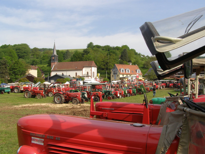 Bilder, Güldner-Treffen